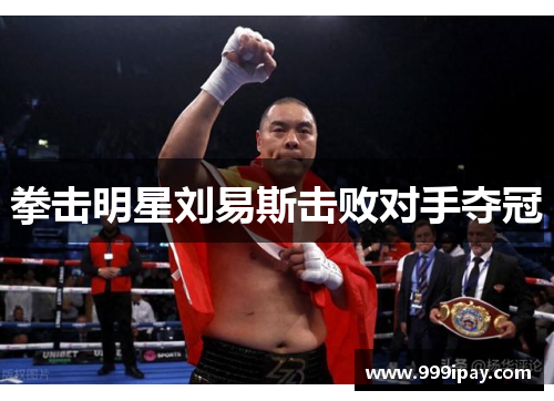 拳击明星刘易斯击败对手夺冠